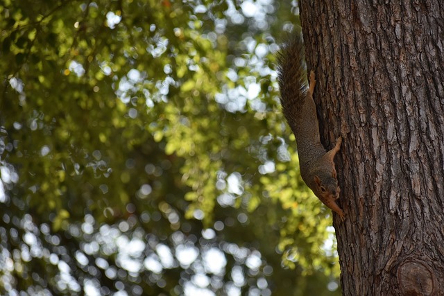 人生中的第 人生中的第