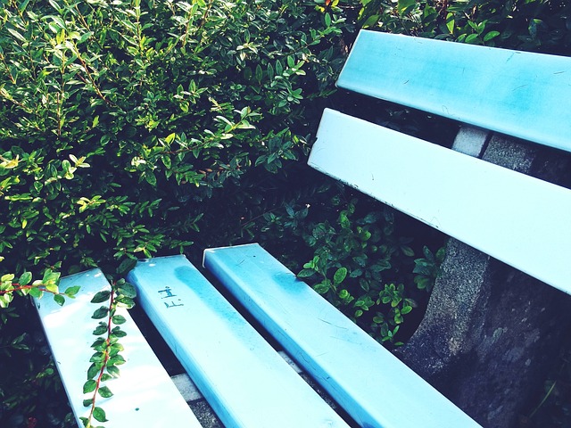 分的替补球 分的替补球