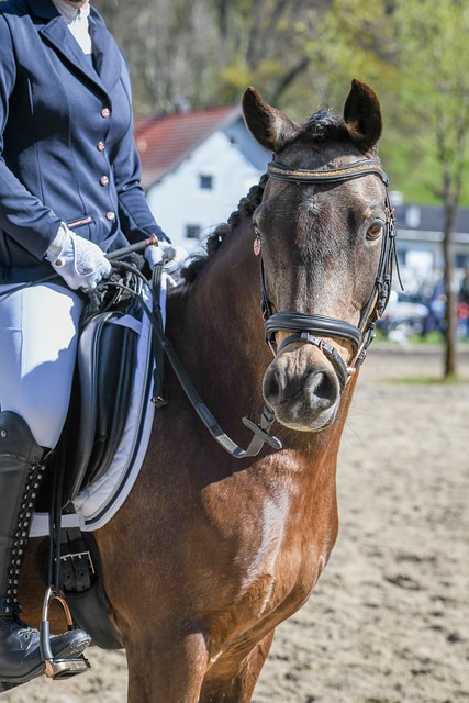 实现梦想的 实现梦想的