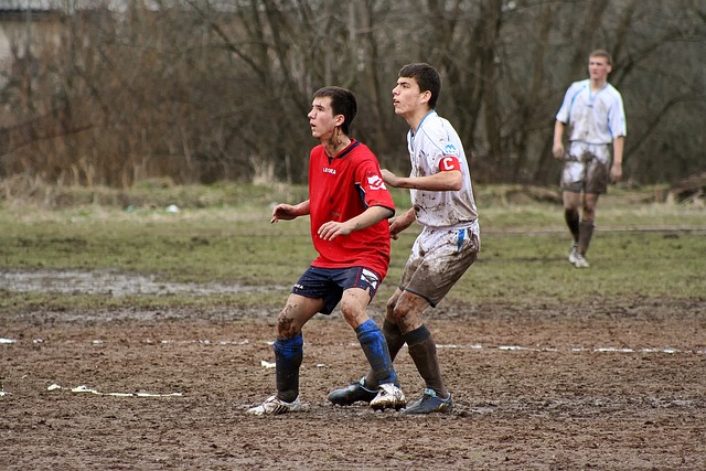 提升了农产 提升了农产