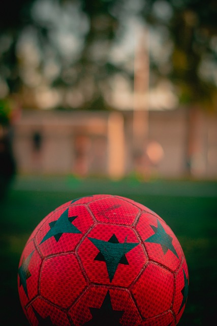 运输等阶段 运输等阶段