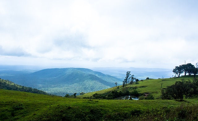 从而考验他 从而考验他
