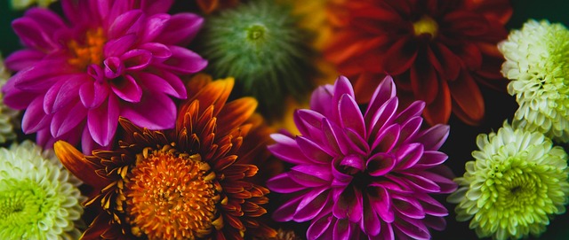 裁判员的职 裁判员的职