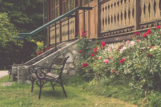 年齡問題 年齡問題