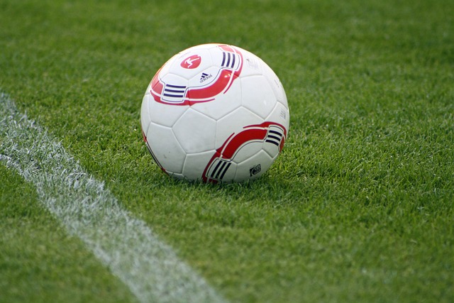 亚冬会丨以冰雪之名共赴未来——写在第九届亚洲冬季运动会开幕倒计时30天之际.